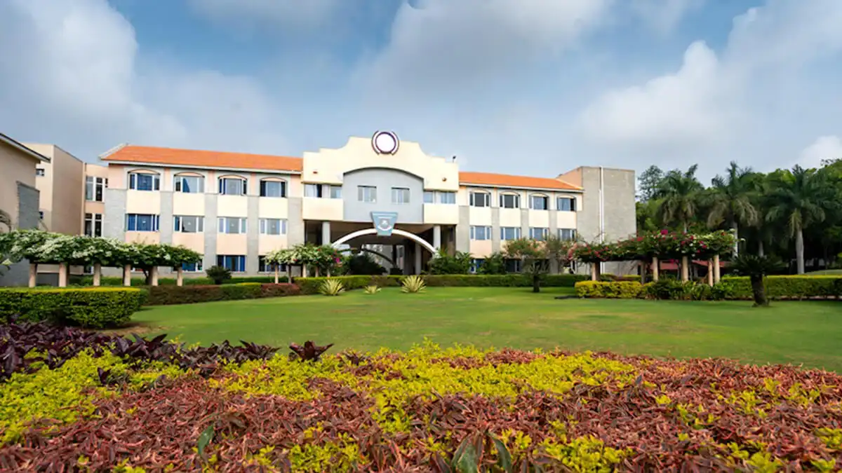 The International School